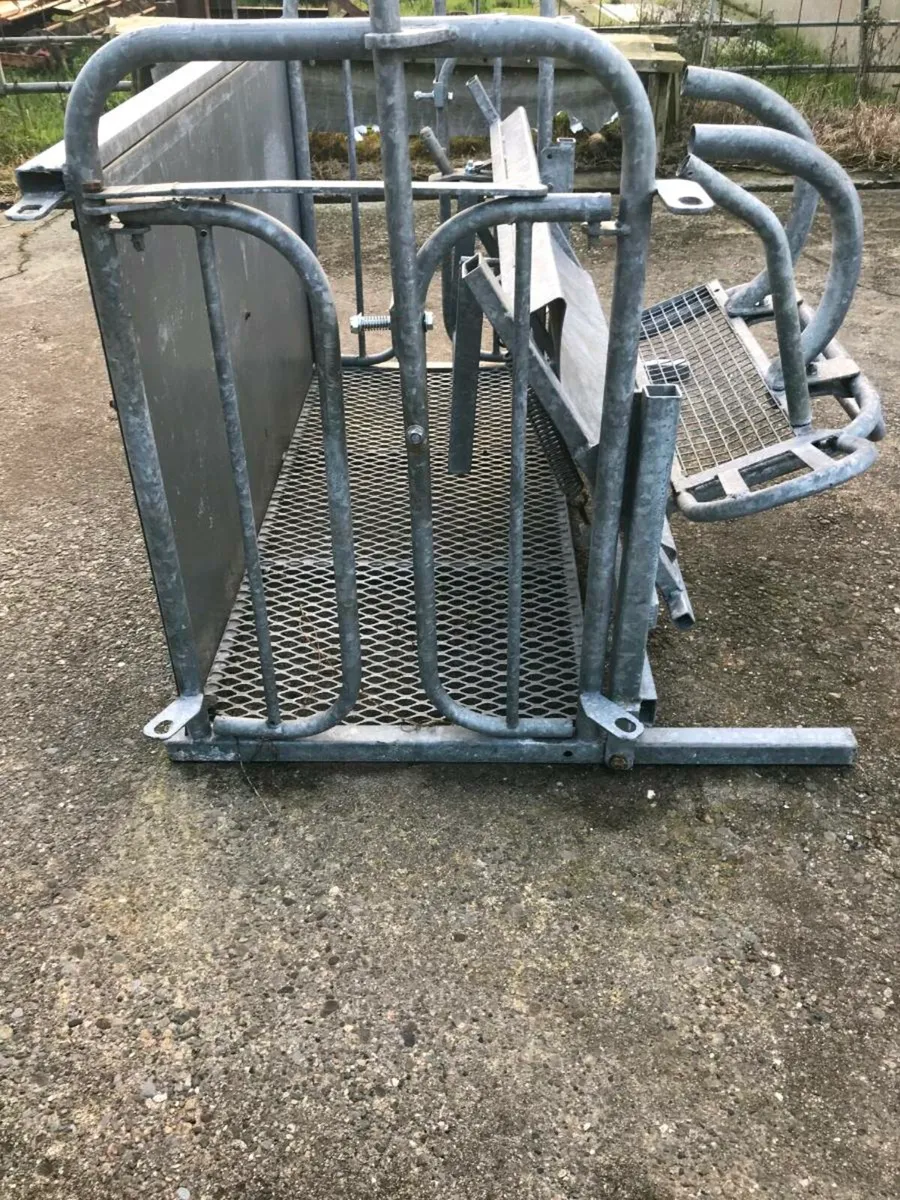 Sheep rollover crate - Image 1