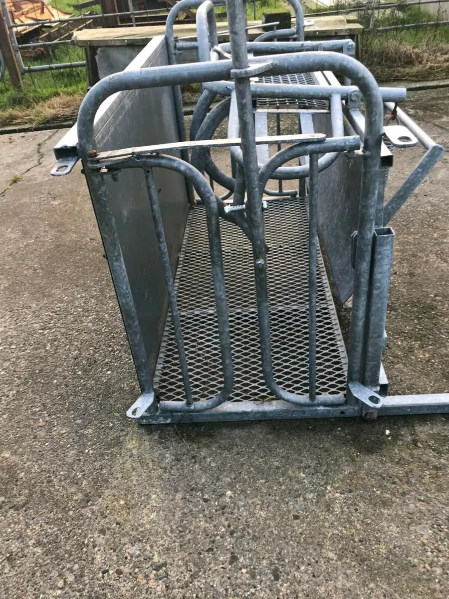 Sheep rollover crate - Image 2