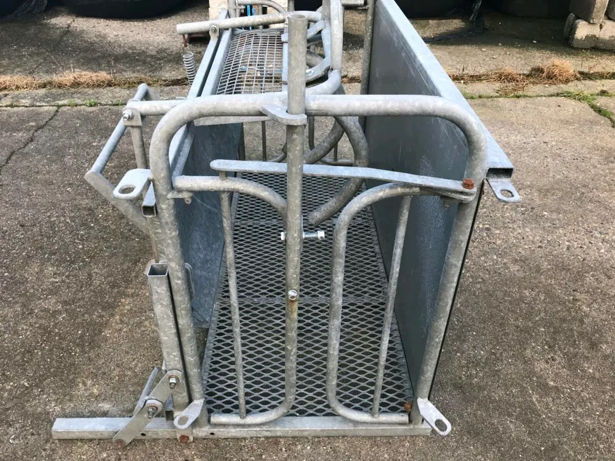 Sheep rollover crate - Image 3