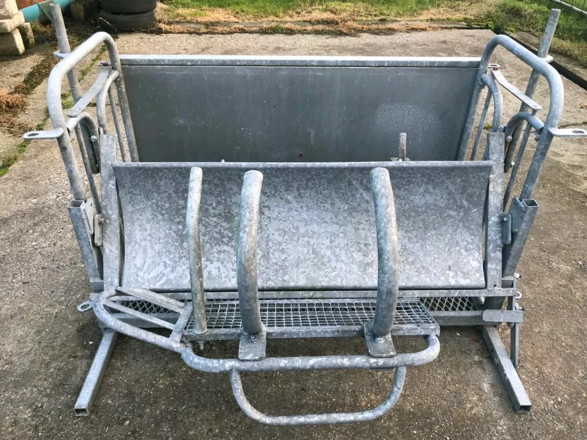 Sheep rollover crate - Image 4