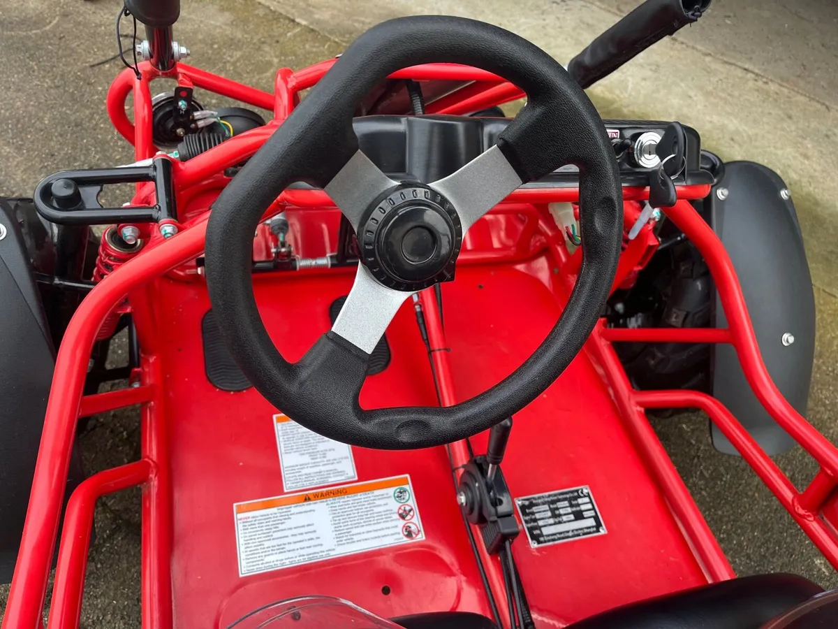 Hammerhead Mudhead 208R electric Go kart - Image 2