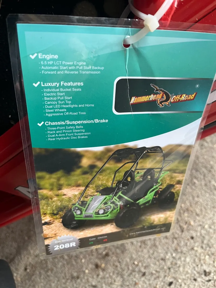 Hammerhead Mudhead 208R electric Go kart - Image 4