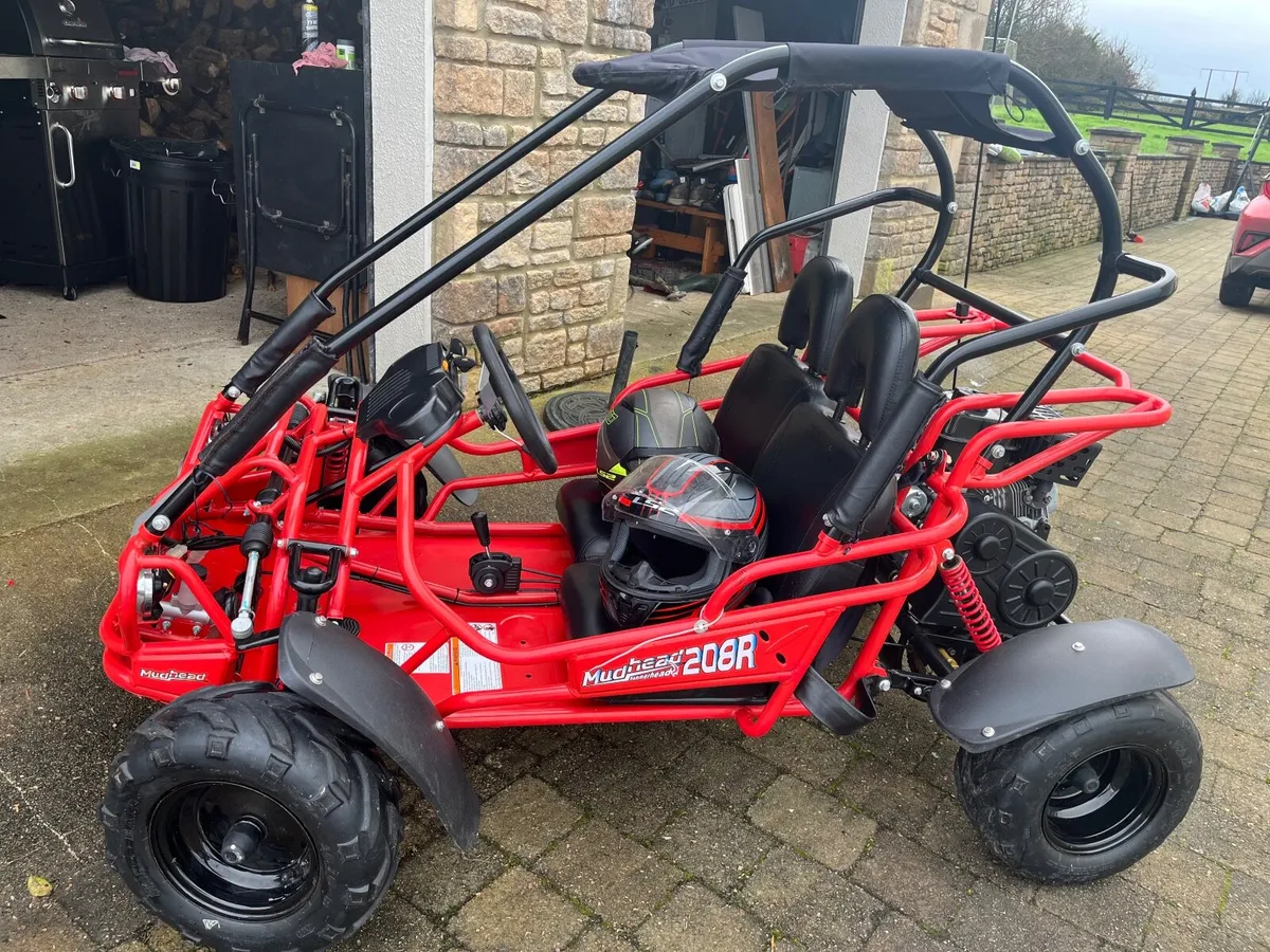 Hammerhead Mudhead 208R electric Go kart - Image 1