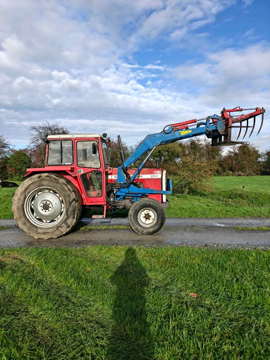 290 Massey Ferguson - Image 1