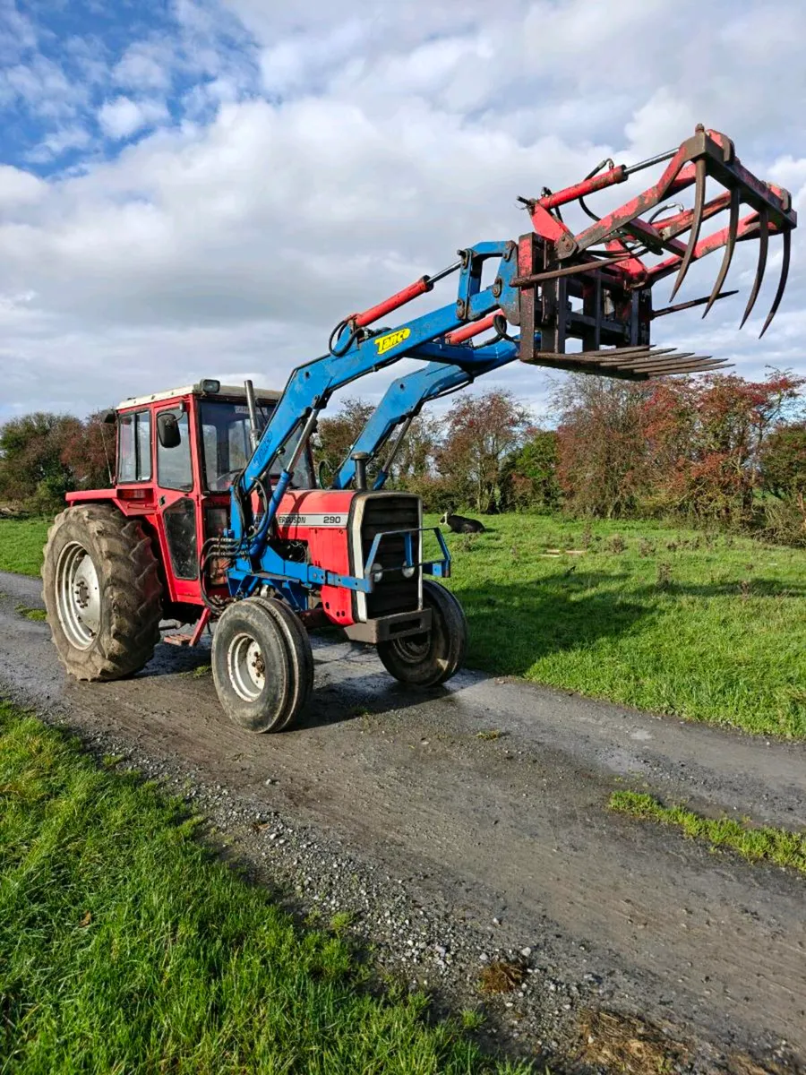 290 Massey Ferguson - Image 2