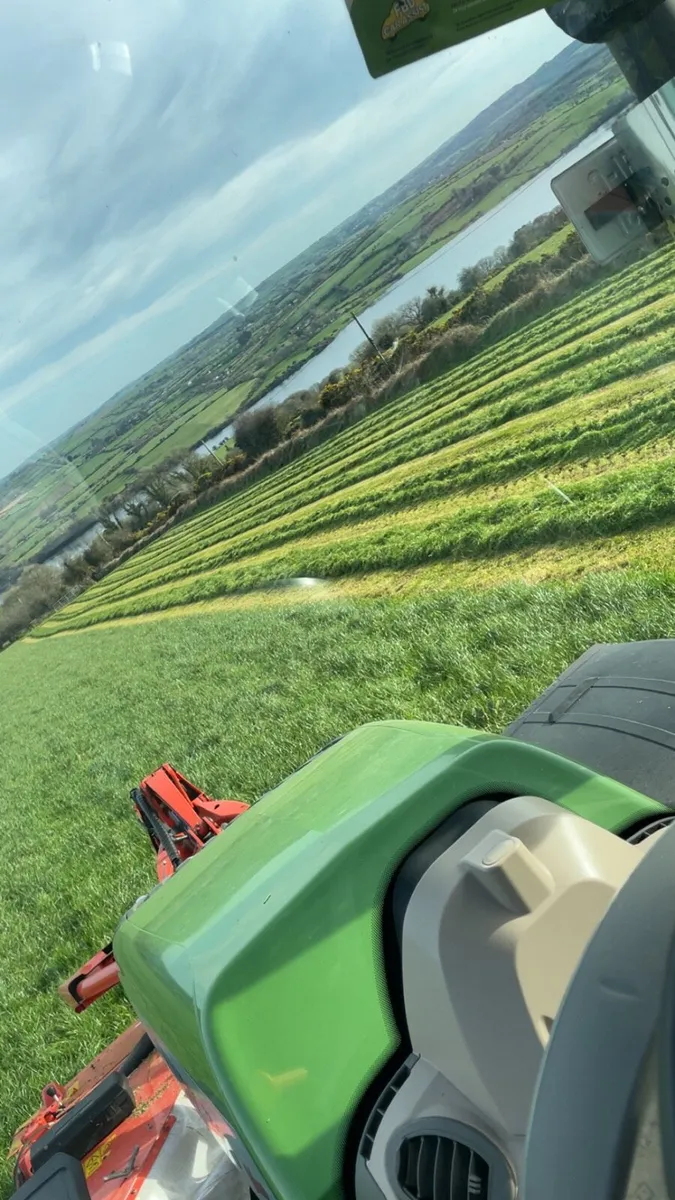 Silage bales coachford area - Image 3