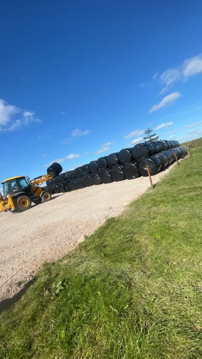 Silage bales coachford area - Image 1