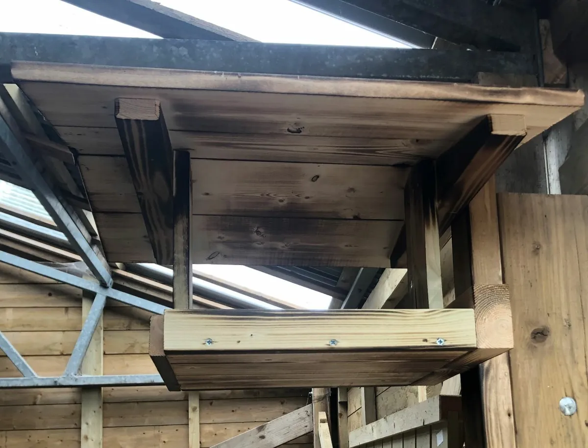 Bird House - Image 2