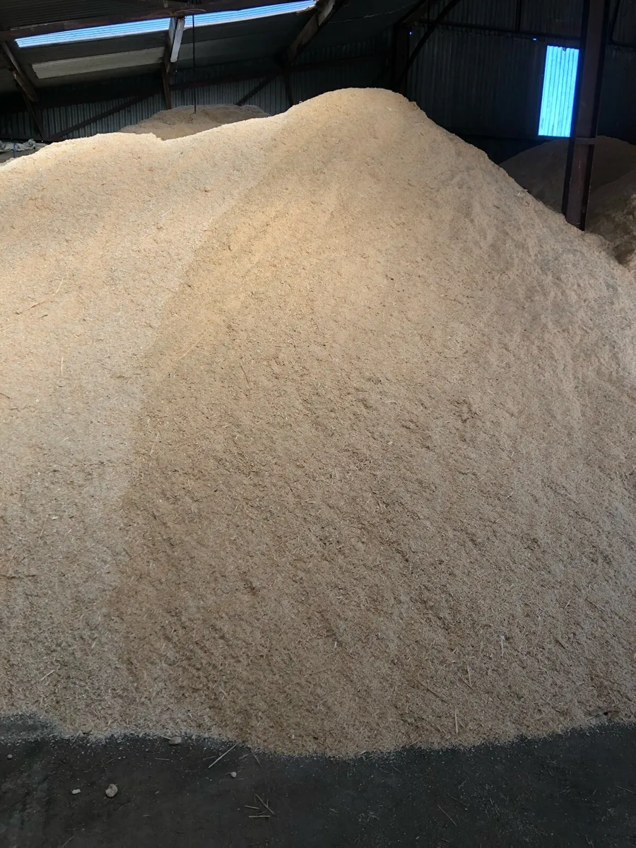 Sawdust - Image 2
