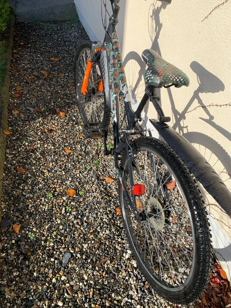 Teenager bike - Image 3