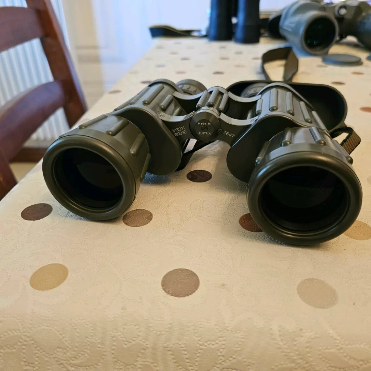 Swarovski Deer binocular scope stalking - Image 4