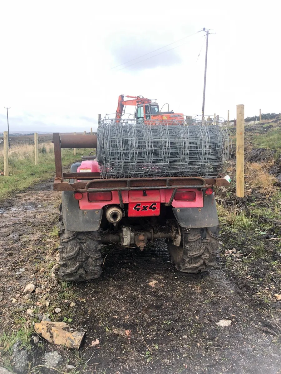 Honda 450 foreman - Image 2