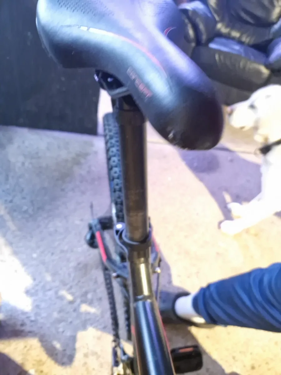 Mountain Bike - Image 3