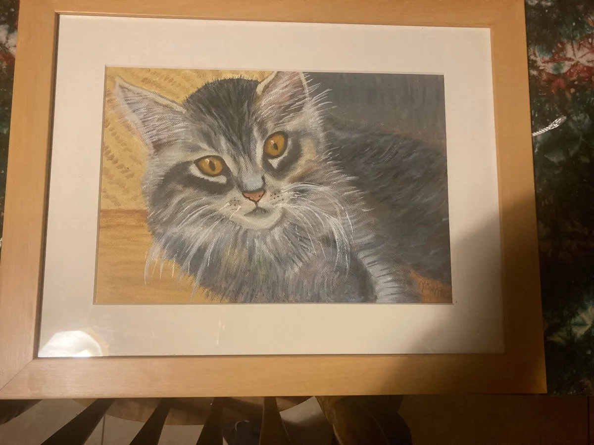 Oil painting signed framed subject cat free post