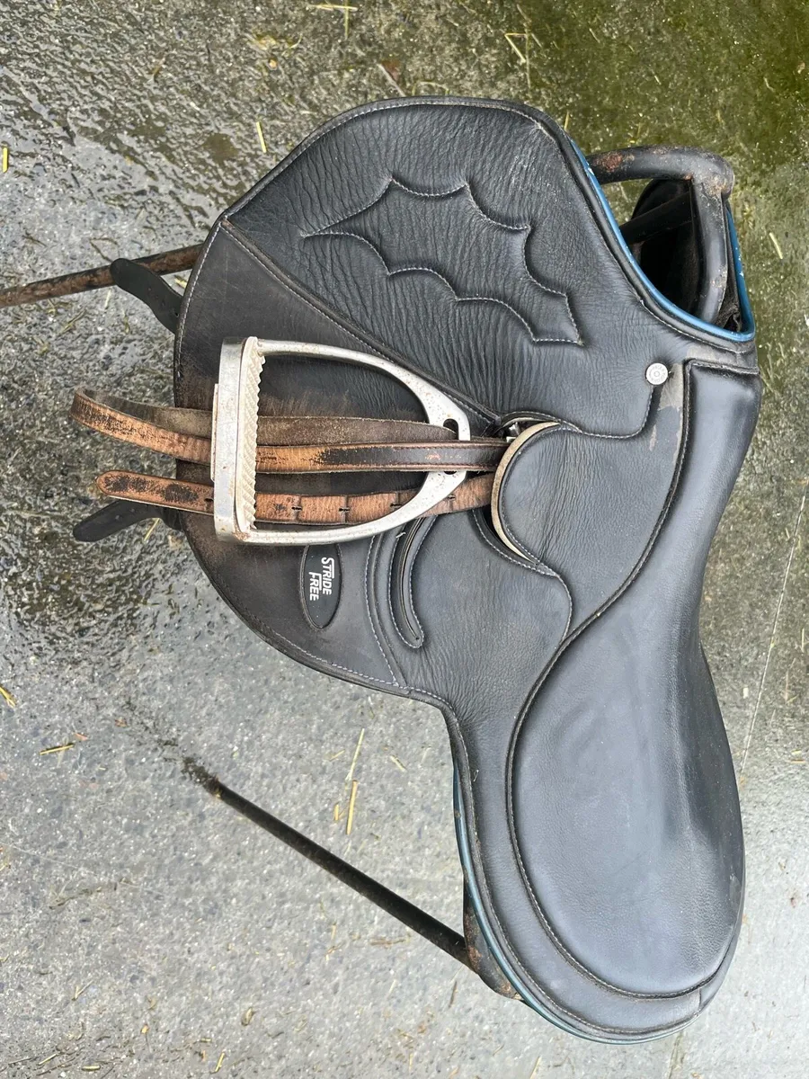 Stride Free Exercise Saddle - Image 2