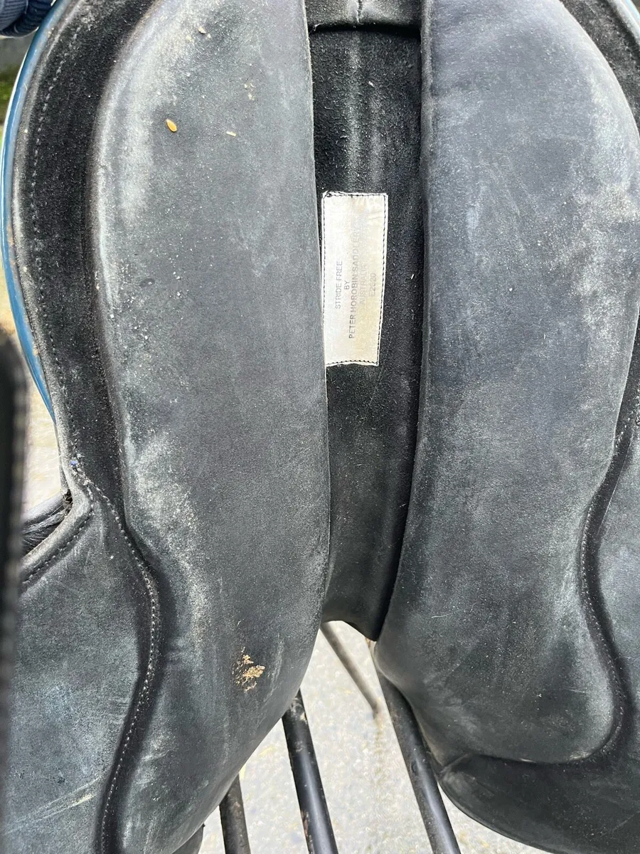 Stride Free Exercise Saddle - Image 4