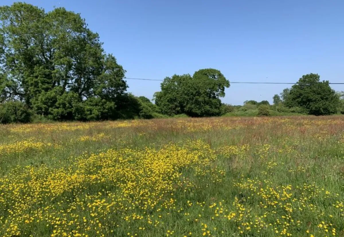 **Wanted** LAND TO RENT