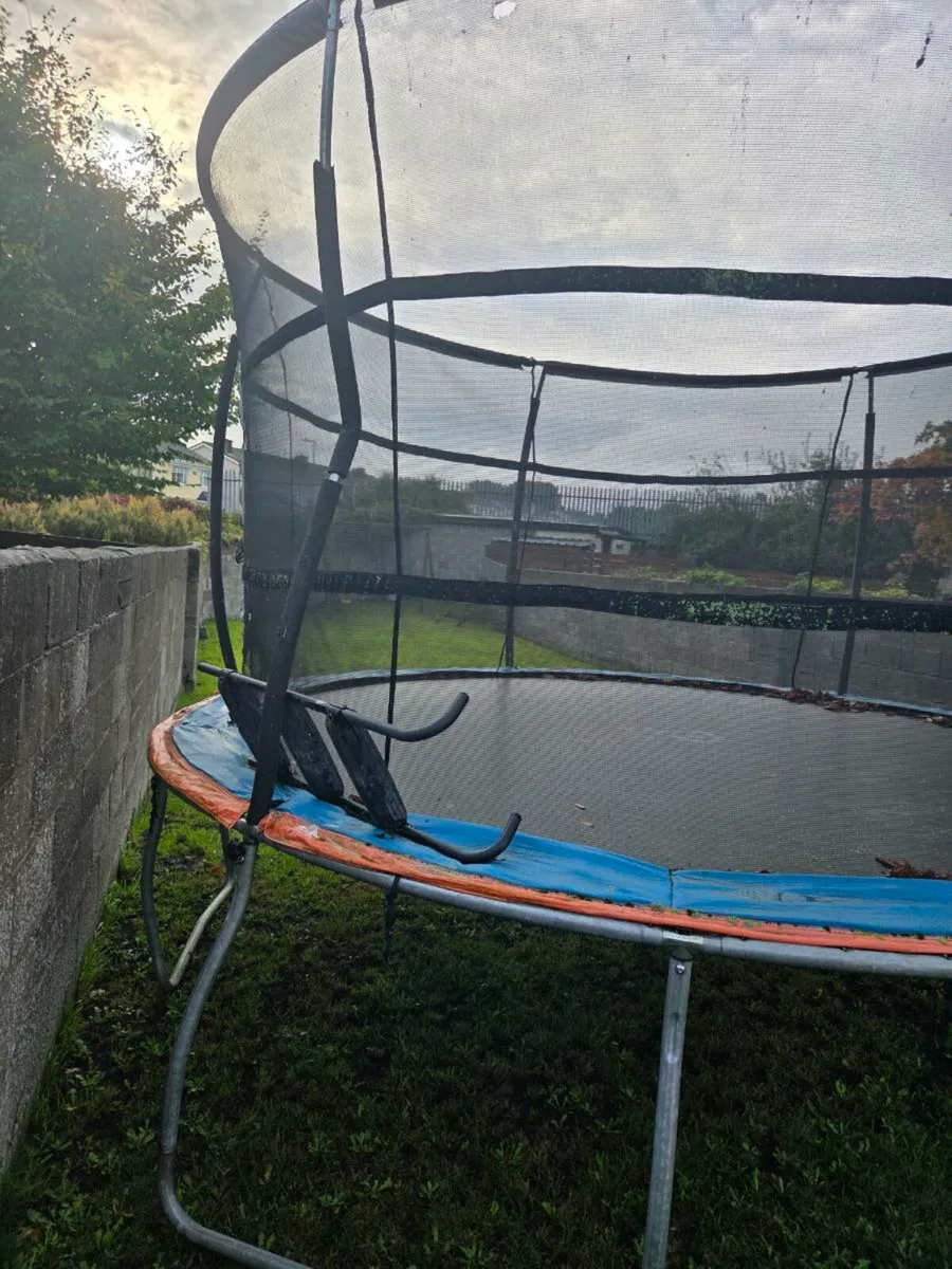 Trampoline - Image 2