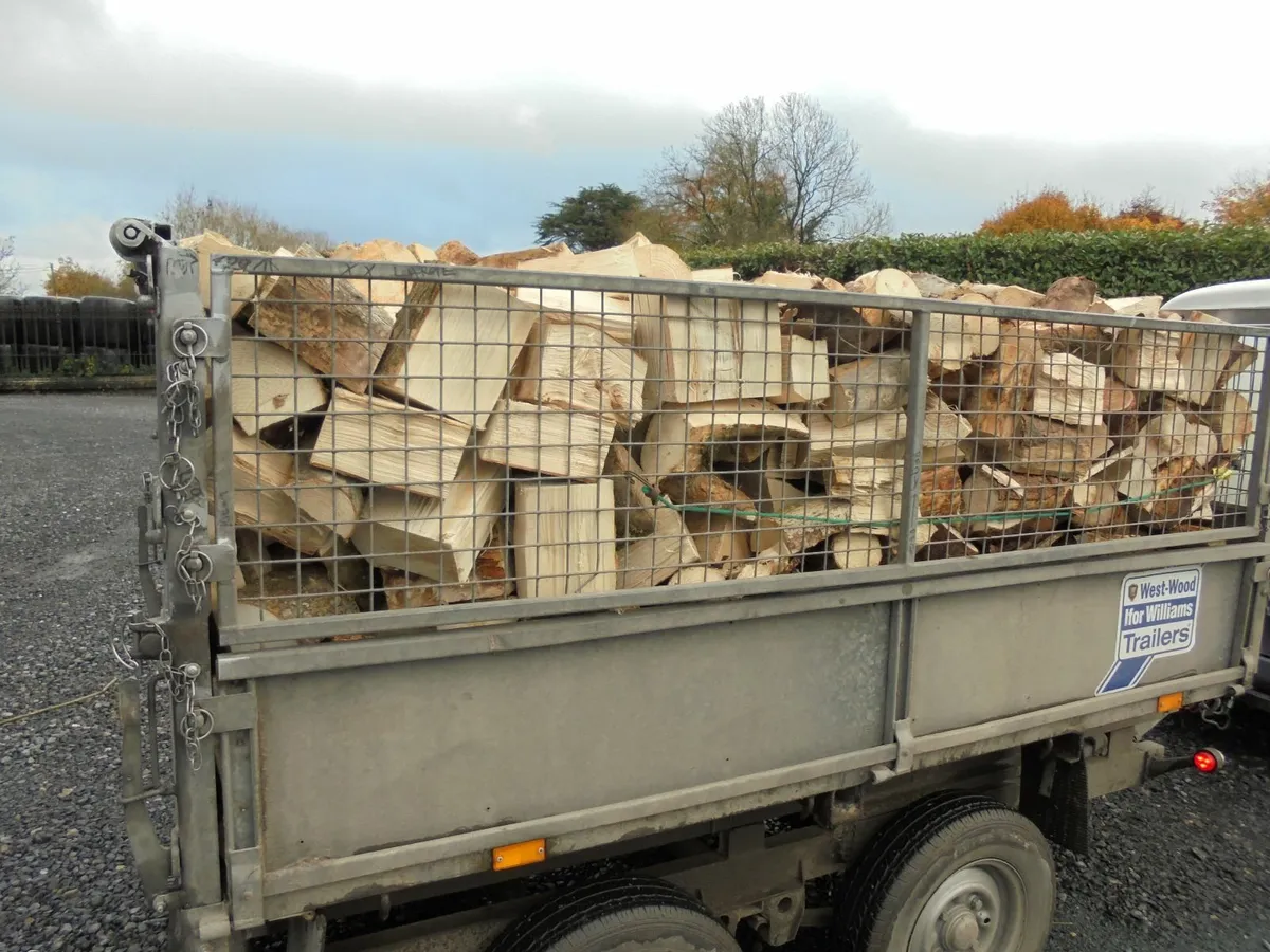FIREWOOD - Image 2