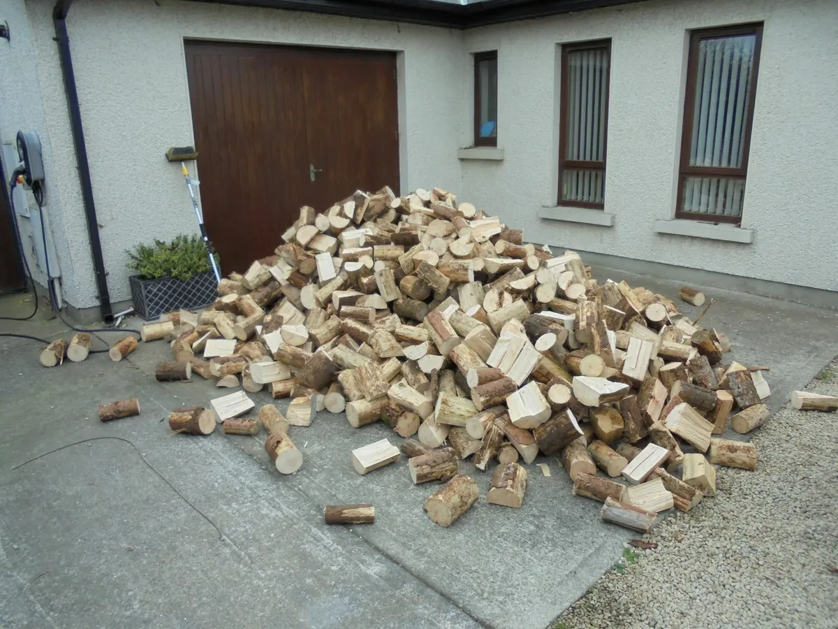FIREWOOD - Image 4