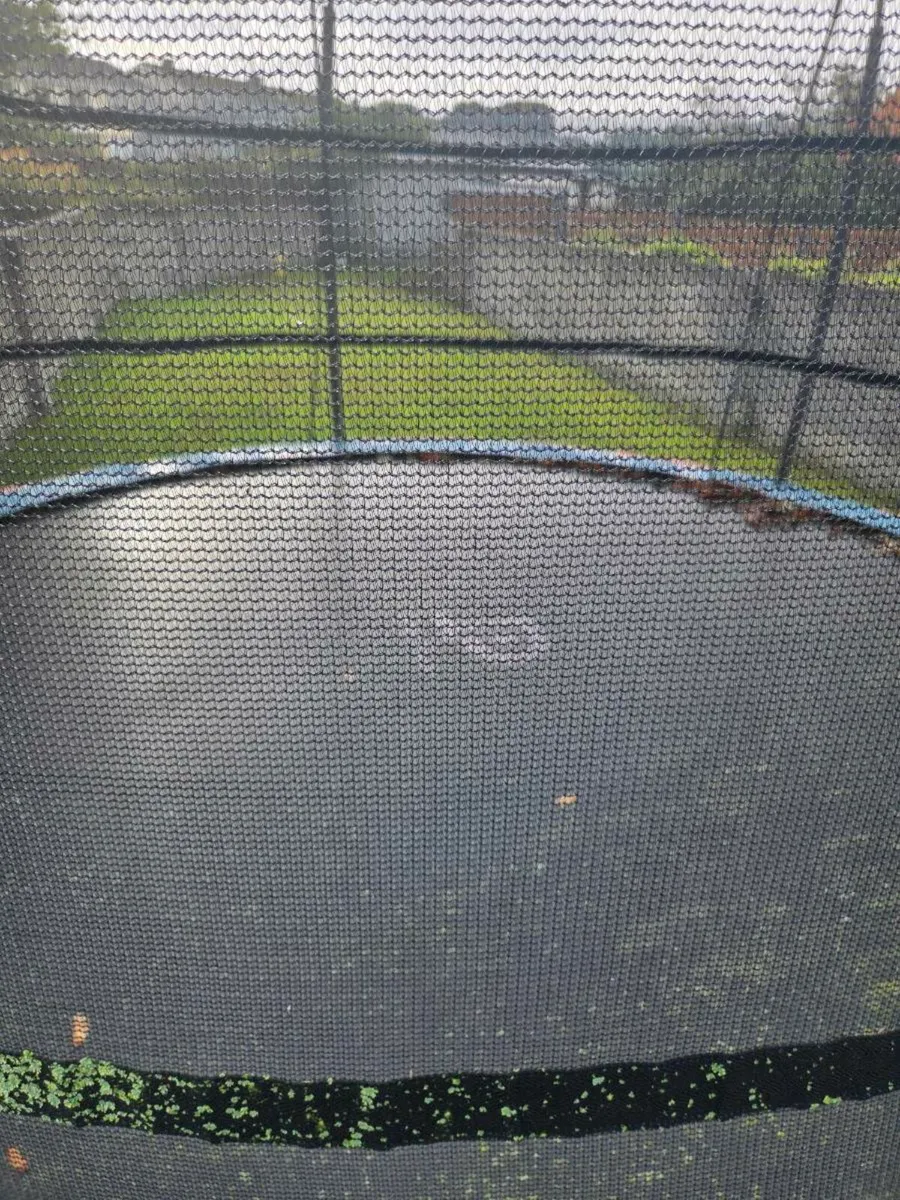 Trampoline - Image 4