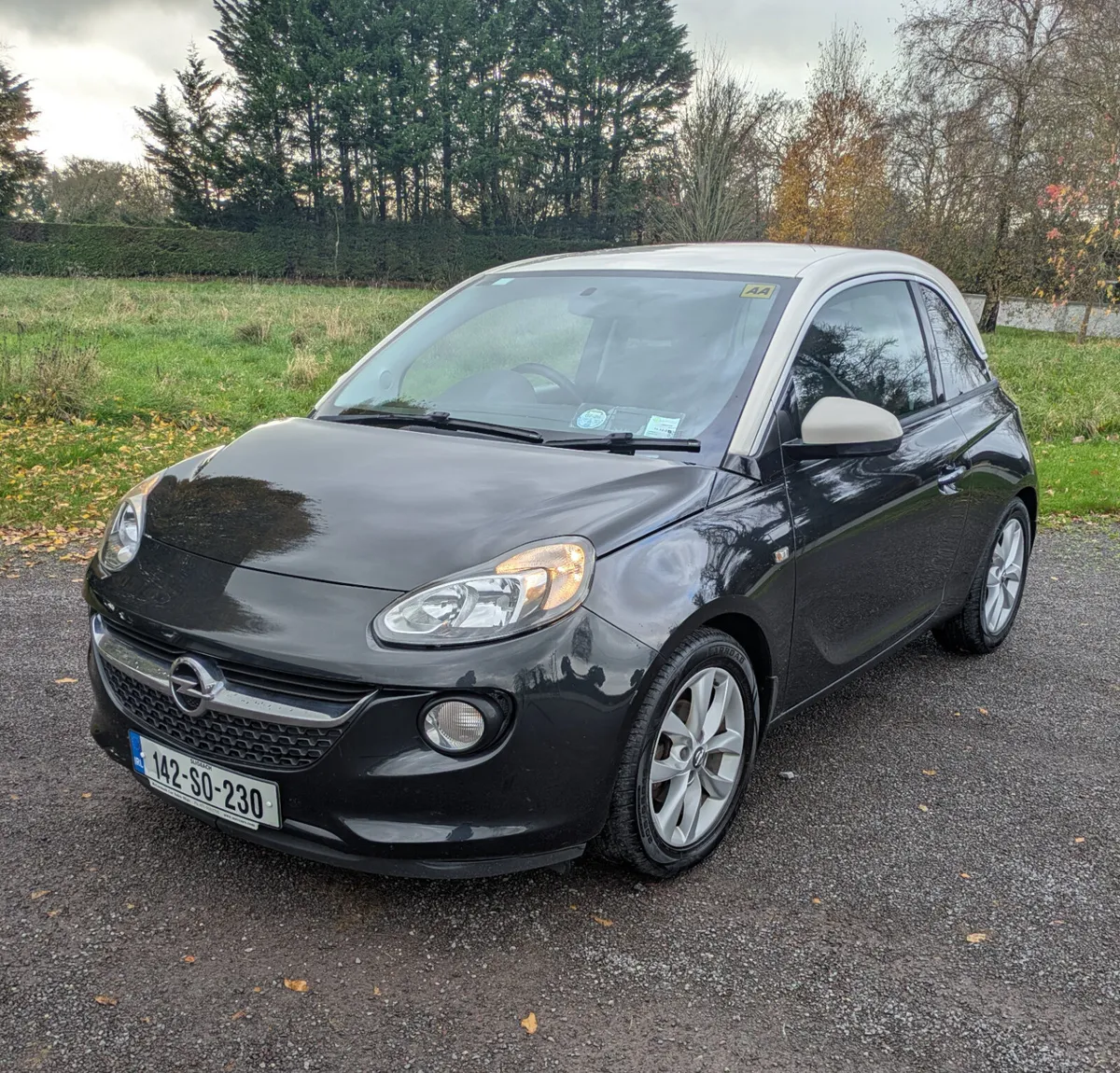Opel Adam/ LOW KMS/ NEW NCT 12/26 /TAX 07/26 - Image 4