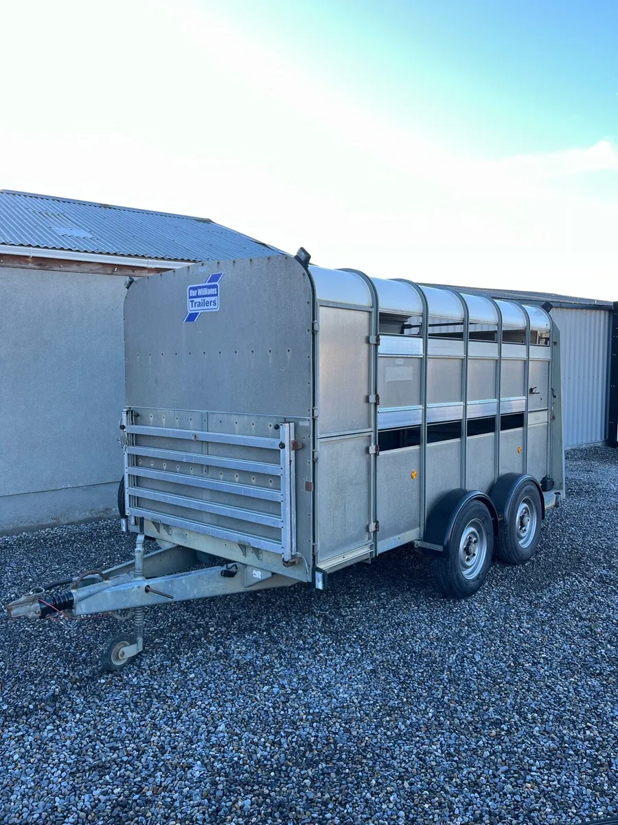 Ifor Williams Sheep Trailer - Image 1