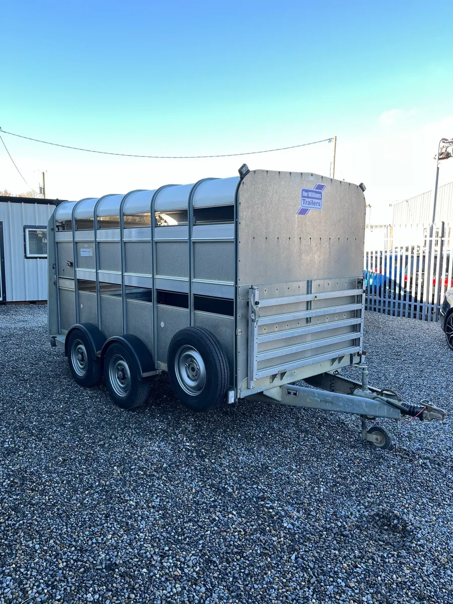 Ifor Williams Sheep Trailer - Image 3