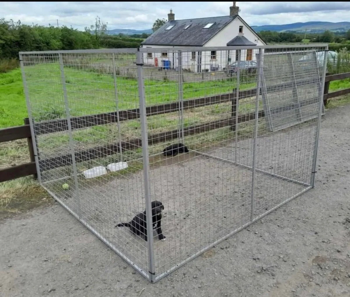 🐾DOG PANELS 🐾 - Image 2