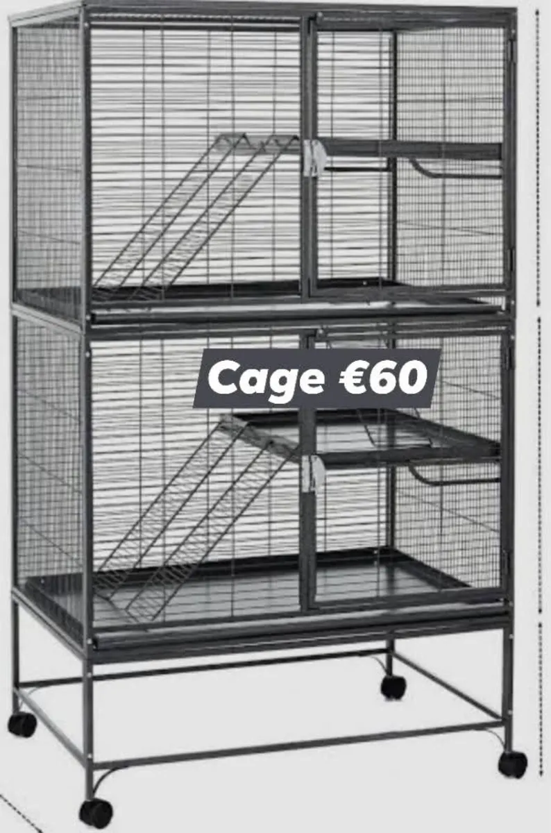 Cages - Image 4