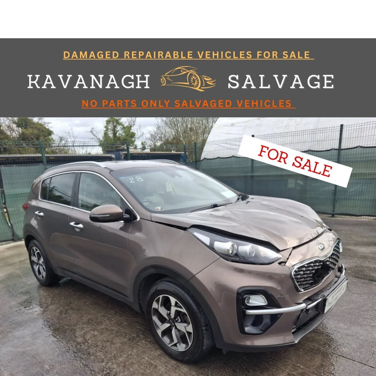 *2019 Kia Sportage Light Damage - Image 1