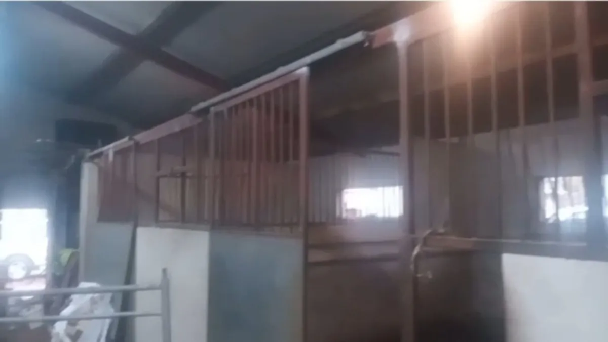 Horse stable doors, rails and feeders - Image 1