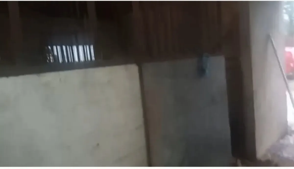 Horse stable doors, rails and feeders - Image 3