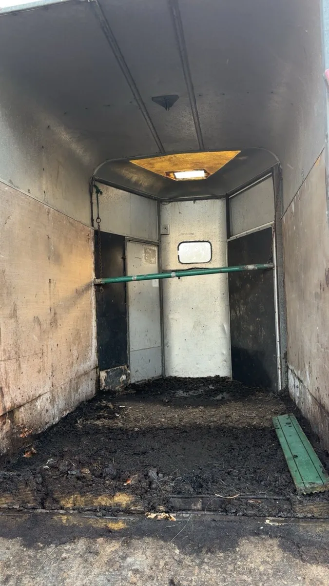 Horse box - Image 3