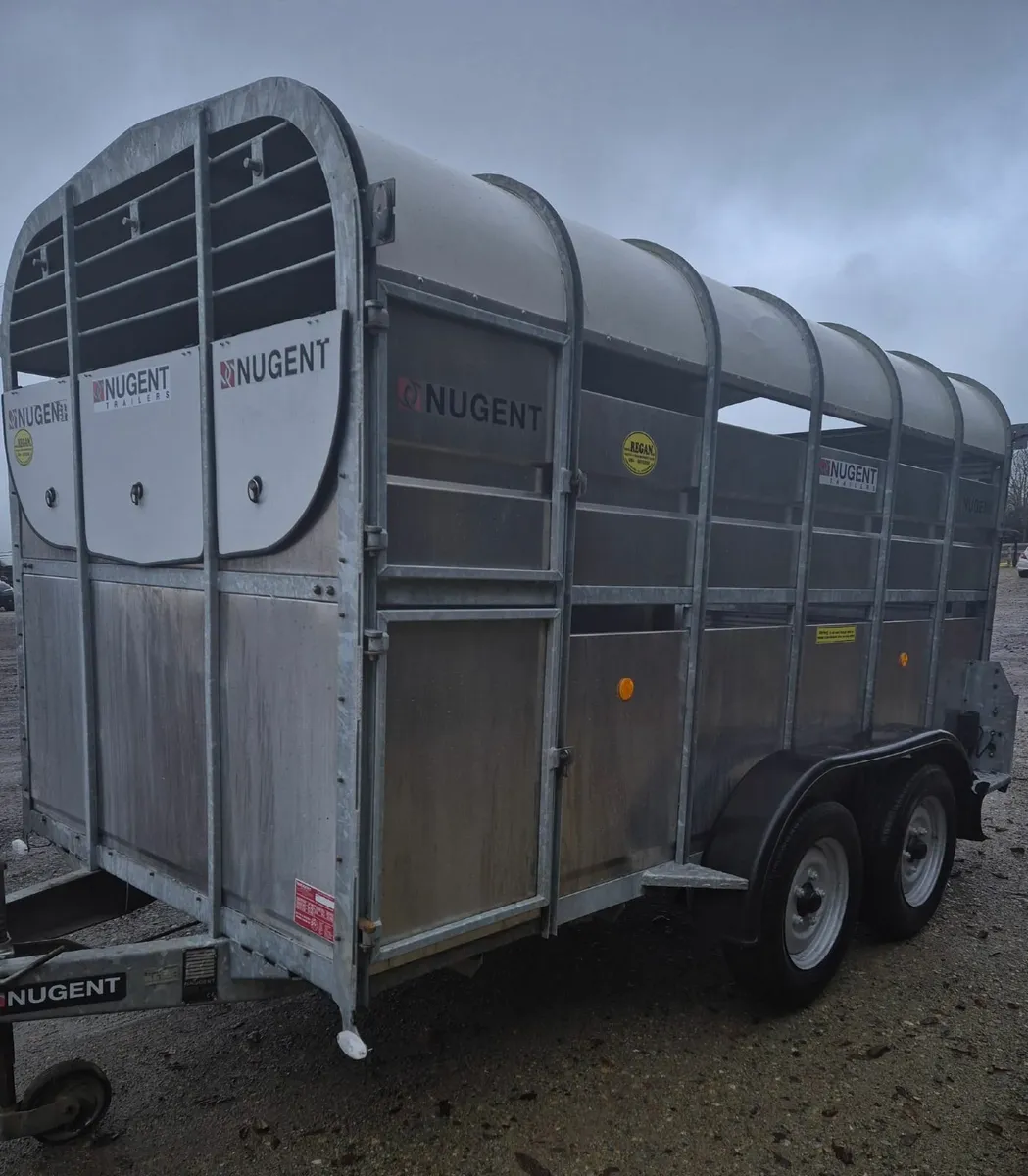 NUGENT  12  x 6  cattle trailer as new - Image 2