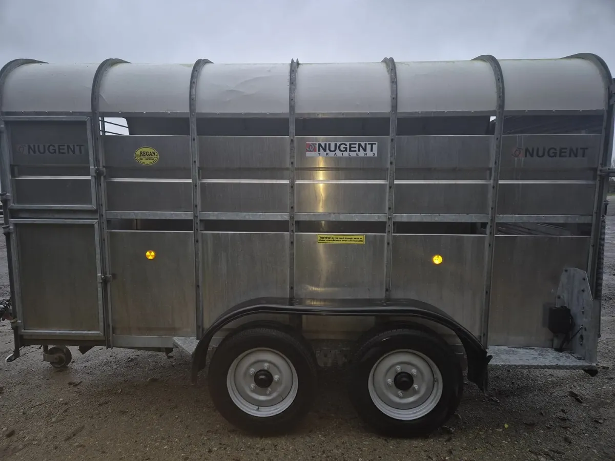 NUGENT  12  x 6  cattle trailer as new - Image 3