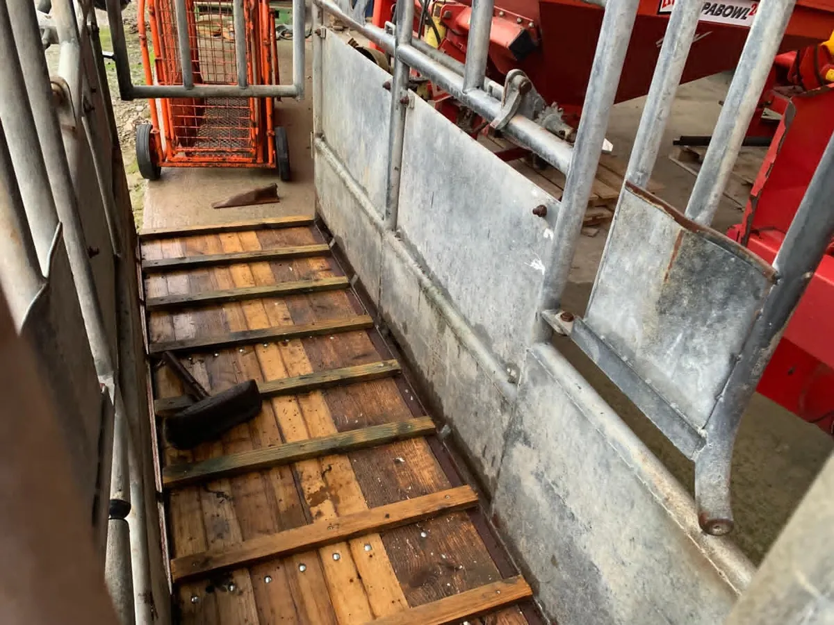 LODDON GALV HOOF TRIMMING CRUSH - Image 4