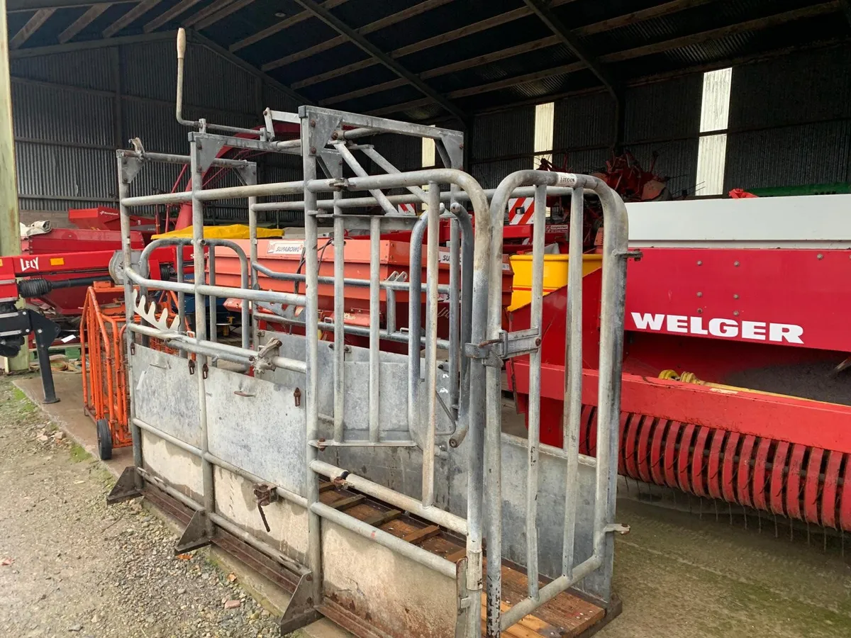 LODDON GALV HOOF TRIMMING CRUSH - Image 2