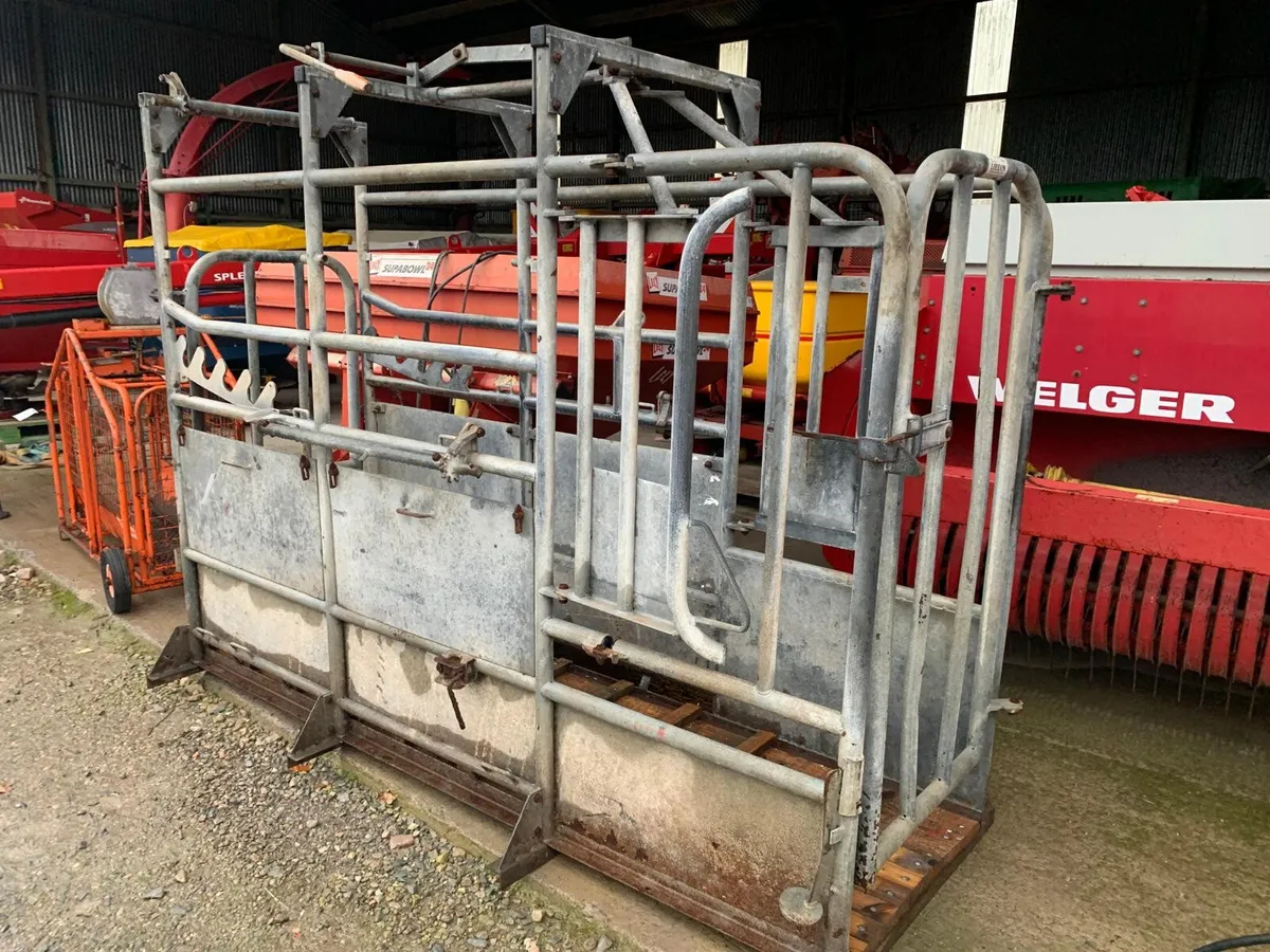 LODDON GALV HOOF TRIMMING CRUSH - Image 3