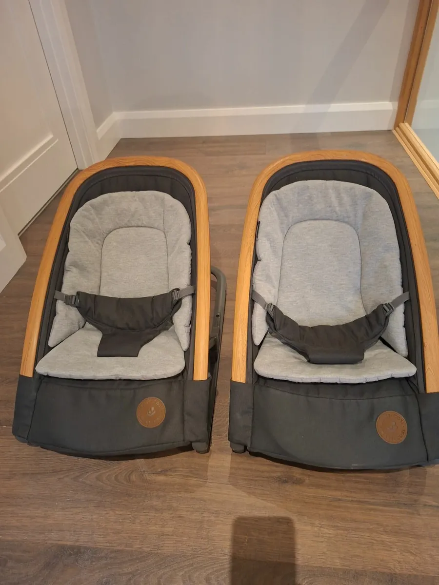 Twin / Double Travel System - Image 2