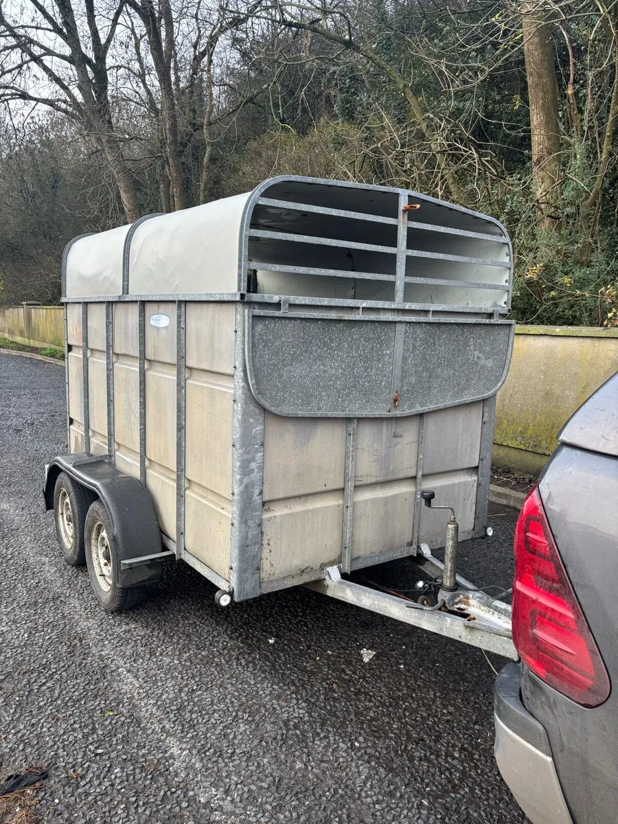 8 x 5 Murphy’s Cattle trailer - Image 1