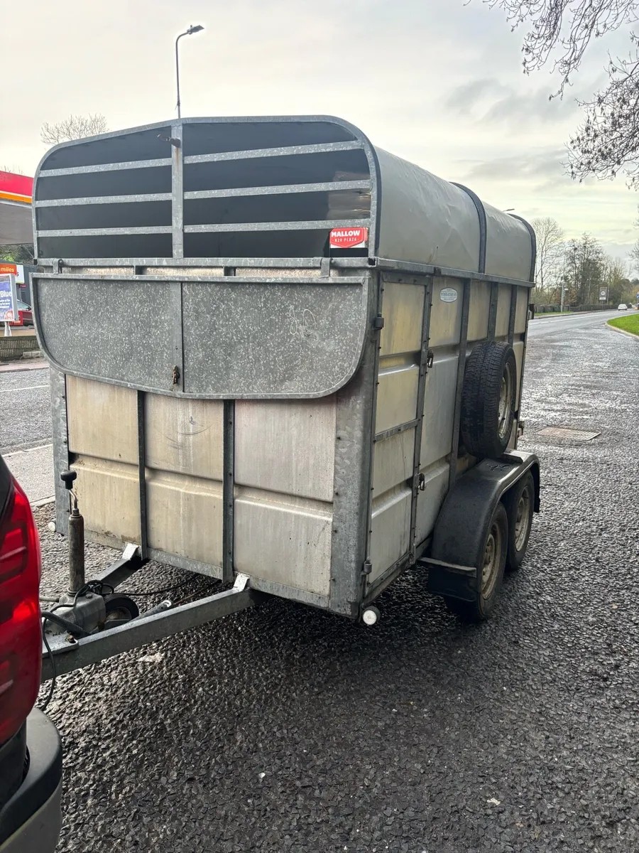 8 x 5 Murphy’s Cattle trailer - Image 2
