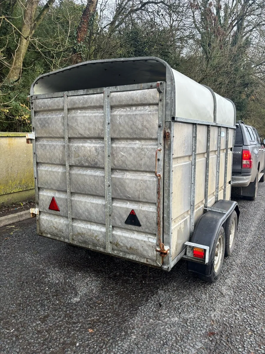 8 x 5 Murphy’s Cattle trailer - Image 3