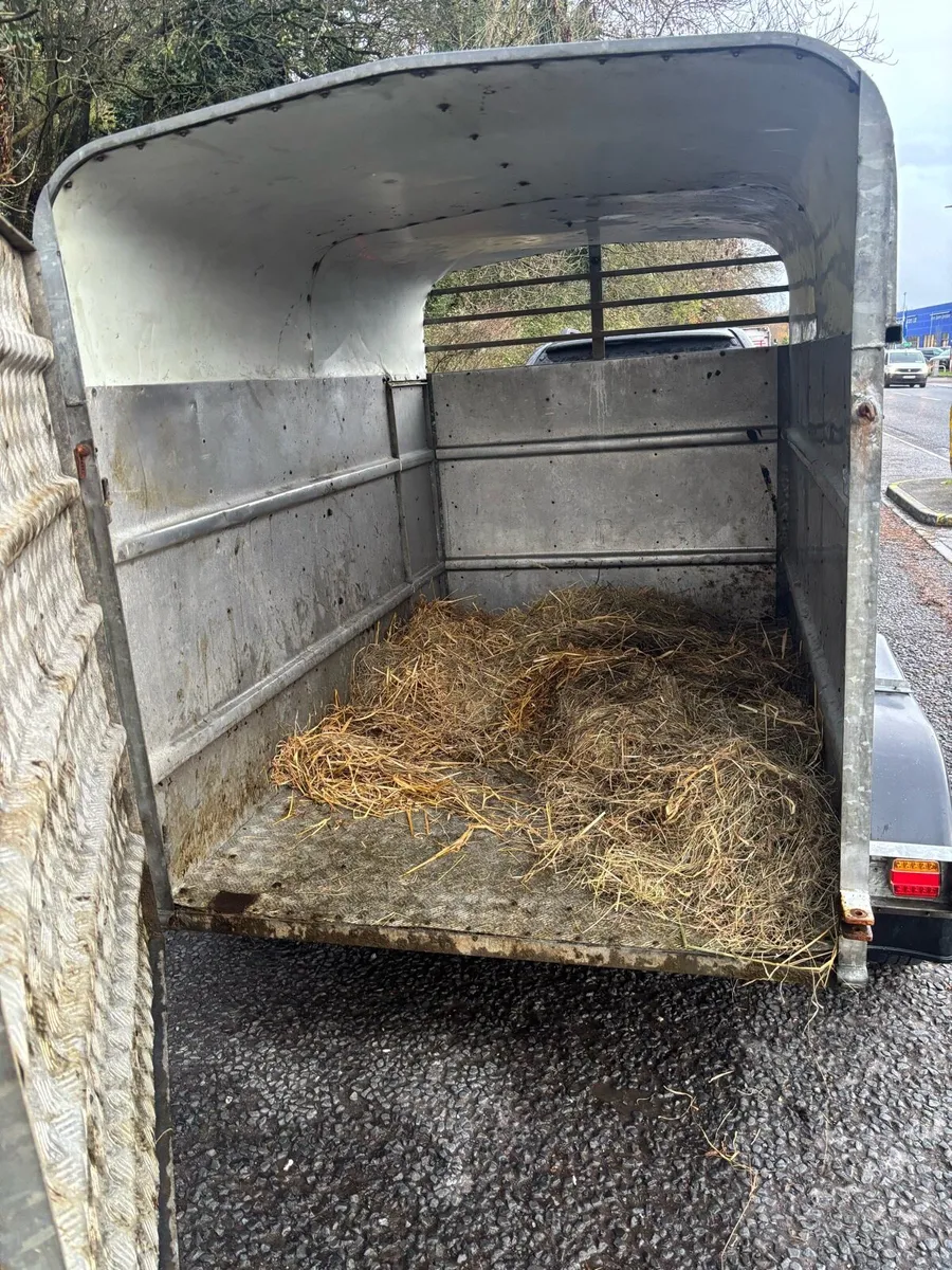 8 x 5 Murphy’s Cattle trailer - Image 4