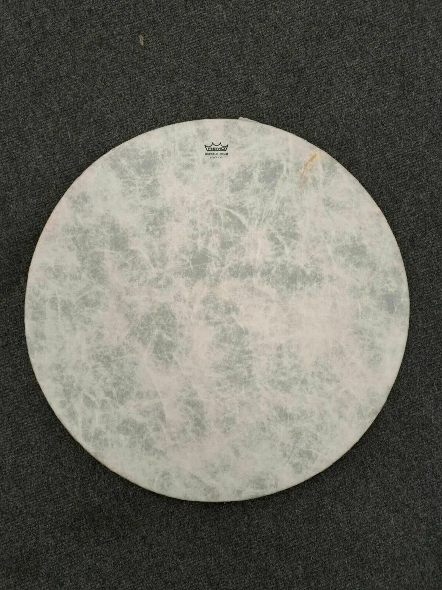 Remo Buffalo Drum Made in USA - Image 1