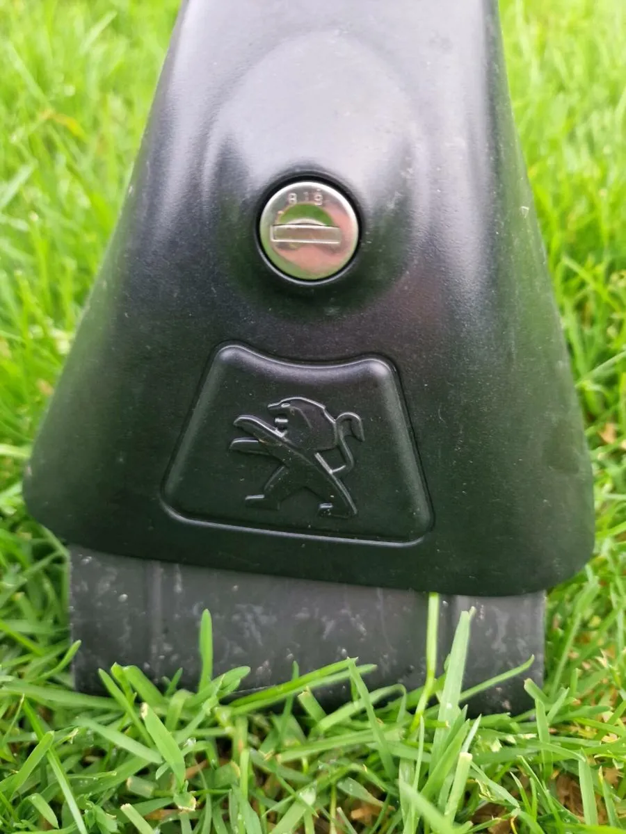 Peugeot roof rack - Image 2