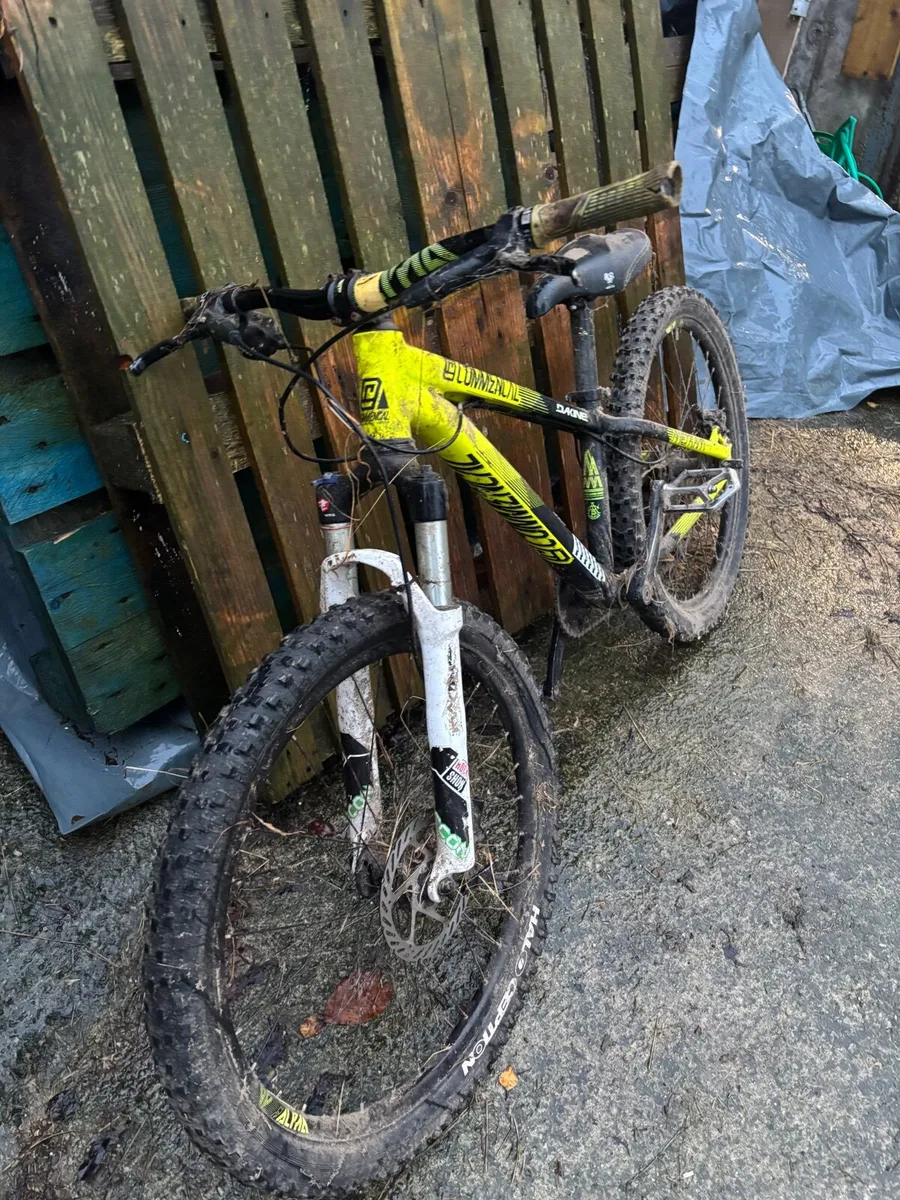 Kids 24 inch hard tail