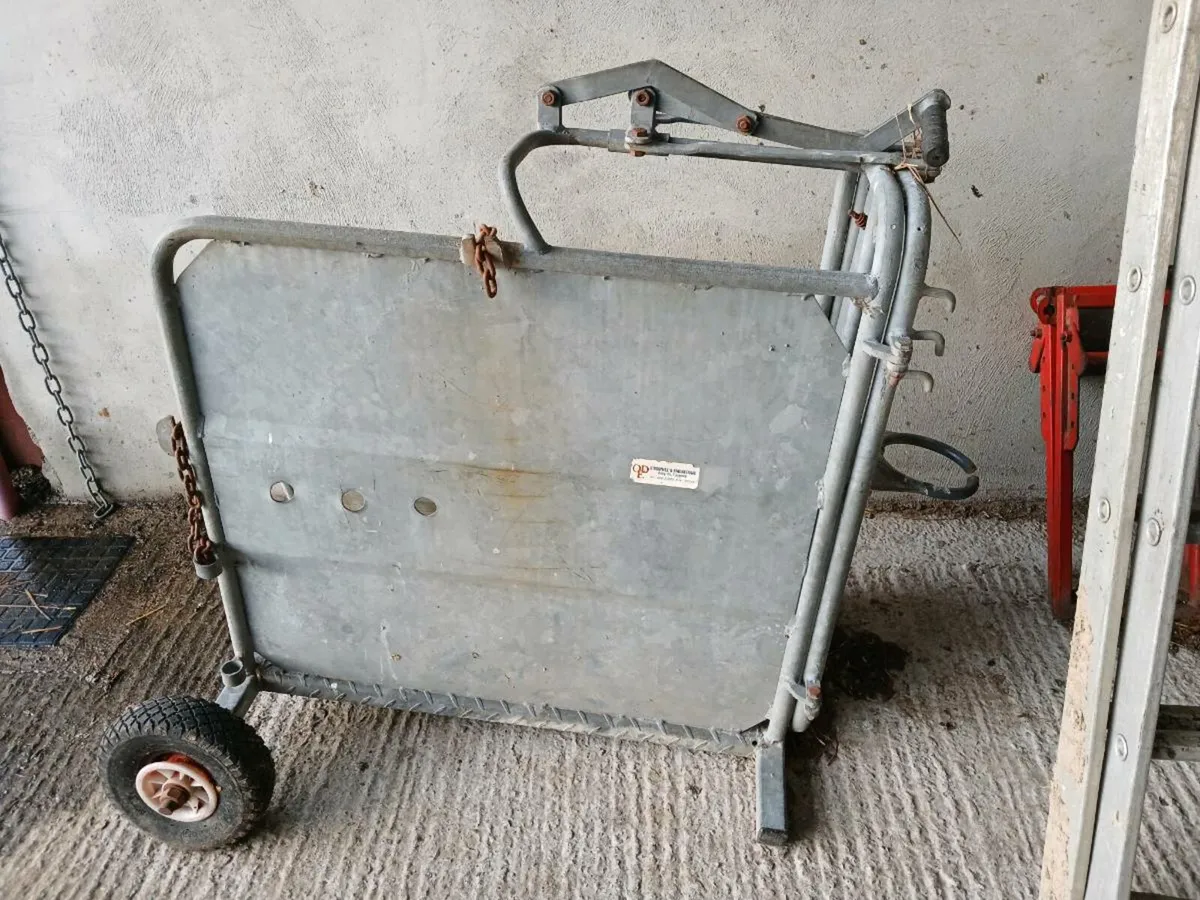 Dehorning crate - Image 2