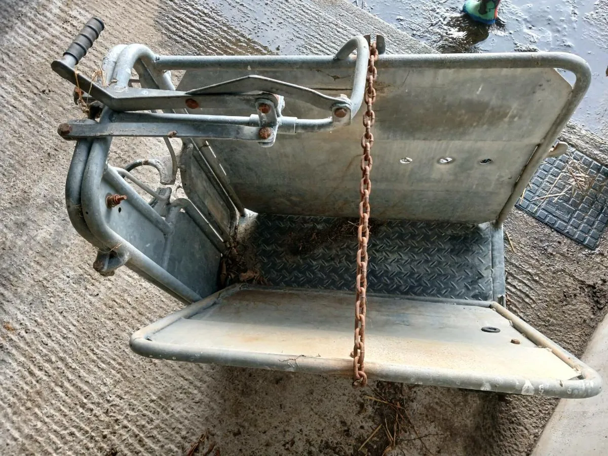 Dehorning crate - Image 3