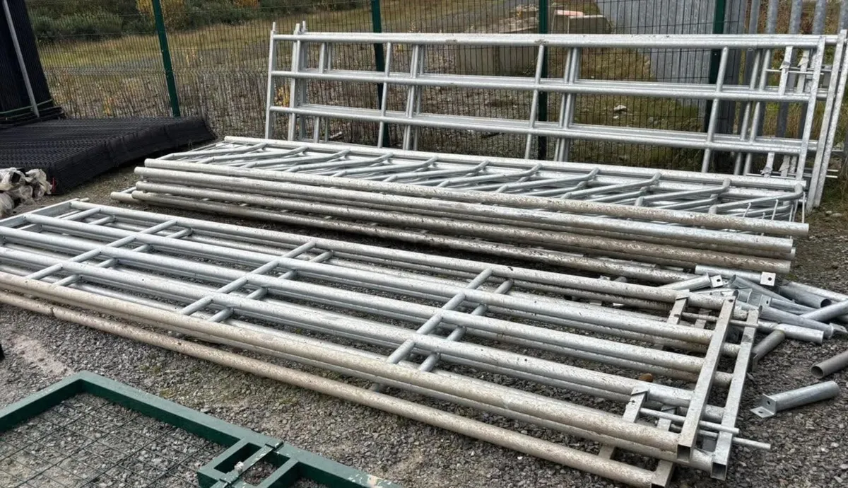 Heavy duty gates Delivery ava - Image 2